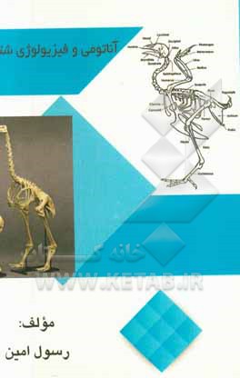 آناتومی و فیزیولوژی شترمرغ