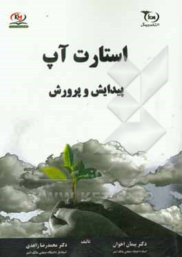 استارت‌آپ، پیدایش و پرورش