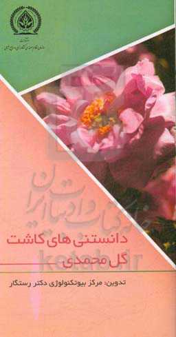 دانستنی‌های کاشت گل محمدی