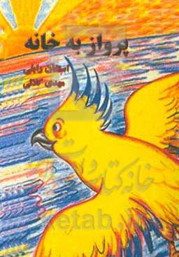 پرواز به خانه