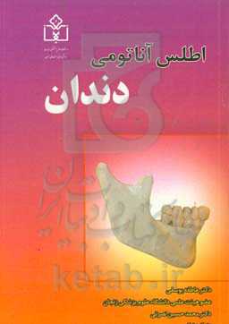 اطلس آناتومی دندان