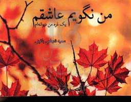 من نگویم عاشقم یک‌ذره من دیوانه‌ام