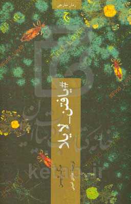 #یافتن_لایلا