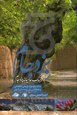 فرهنگ عامیانه بزد جام (به انضمام موارد تاریخی، اجتماعی و جغرافیایی این روستای کهن)