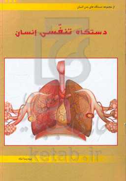 دستگاه تنفسی انسان