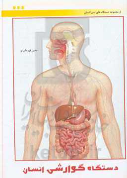 دستگاه گوارشی انسان