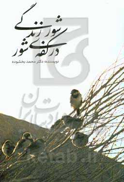 شور زندگی در کفه‌ی شور