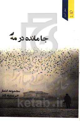 جامانده در مه