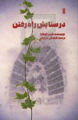 در ستایش راه رفتن