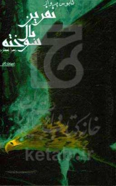 نفرین بال سوخته: کابوس پرواز