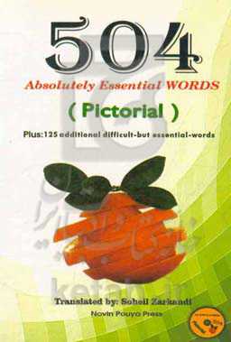 504 absolutely essential words