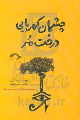 چشمان کهربایی درخت مر