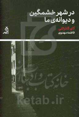 در شهر خشمگین و دیوانه‌ی ما