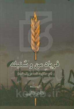 فریاد من و سنبله (دو حکایت‌نامه در یک نامه)