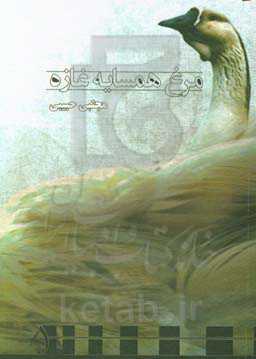 مرغ همسایه غازه