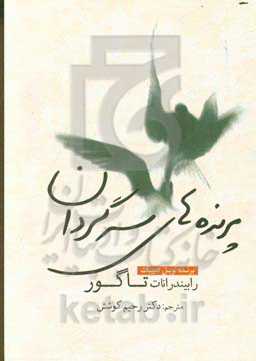 پرنده‌های سرگردان