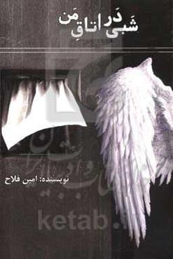 شبی در اتاق من