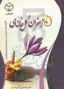 زعفران گلخانه‌ای: آموزش کشت زعفران در محیط بسته (خانه و گلخانه)