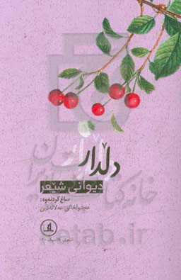 دیوانی شیعر دلدار