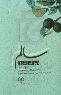 دیوانی شیعر سالم