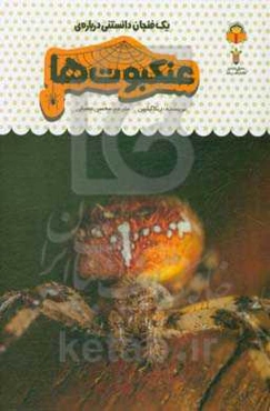 یک فنجان دانستنی درباره‌ی عنکبوت‌ها