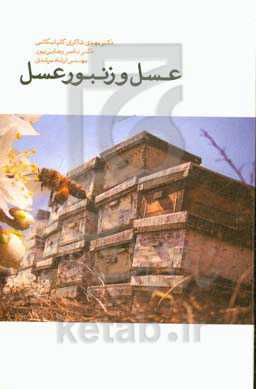 عسل و زنبور عسل