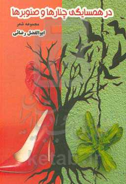 در همسایگی چنارها و صنوبرها