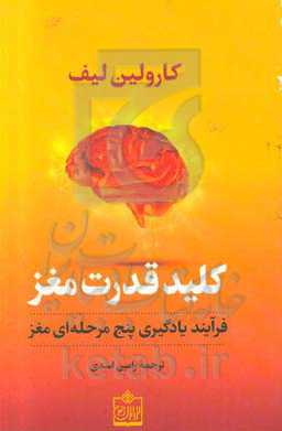 کلید قدرت مغز: فرآیند یادگیری پنج مرحله‌ای مغز