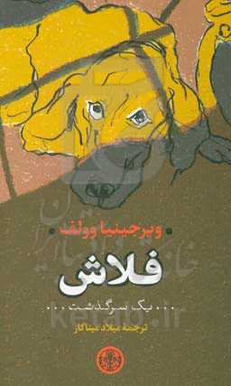 فلاش: یک سرگذشت