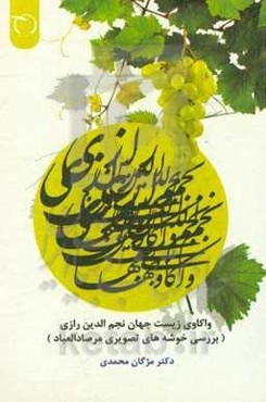 واکاوی زیست جهان نجم‌الدین رازی (بررسی خوشه‌های تصویری مرصادالعباد)