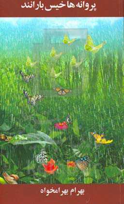 پروانه‌ها خیس بارانند