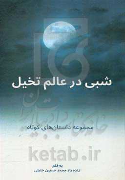 شبی در عالم تخیل: من هم سیاسی شدم