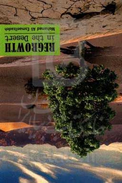 Regrowth in the desert: a collection of short stories