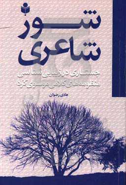 شور شاعری‮‬: ‏‫جستاری در زیبایی‌شناسی منظومه‌های کلامی مولوی کرد