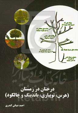 درختان در زمستان (هرس، توپیاری، باندینگ و چالکود)