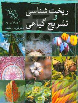 ریخت‌شناسی و تشریح گیاهی