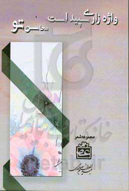 واژه‌ زاری سپید است محاسن تو