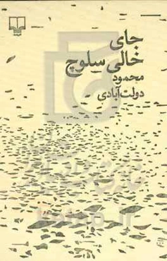 جای خالی سلوچ