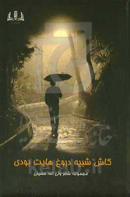 کاش شبیه دورغ‌هایت بودی