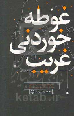 غوطه‌خوردنی غریب در داستان: چهل و شش گفت‌وگو با چهل و دو نویسنده ایرانی