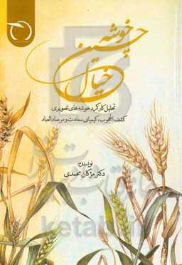 خوشه‌چین خیال (تحلیل کارکرد خوشه‌های تصویری کشف‌المحجوب، کیمیای سعادت و مرصادالعباد)