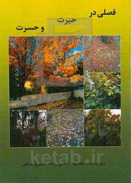 فصلی در حیرت و حسرت