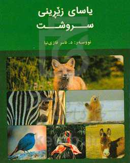 یاسای زیرینی سورشت