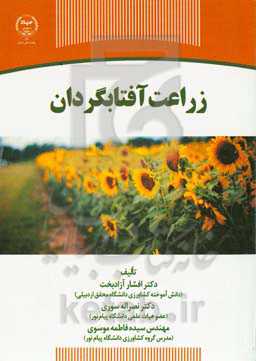 زراعت آفتابگردان