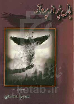 بال پر از پرواز