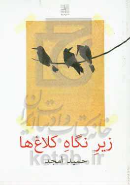 زیر نگاه کلاغ‌ها