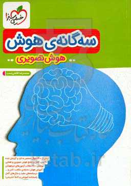 سه‌گانه‌ی هوش - هوش تصویری