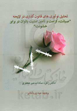 تحلیل نوآوری‌های قانون‌گذاری در لایحه "صیانت، کرامت و تامین امنیت بانوان در برابر خشونت"