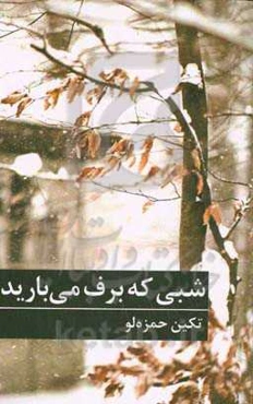 شبی که برف می‌بارید