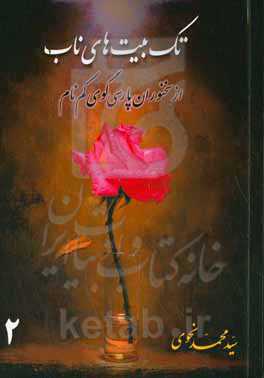 تک بیت‌های ناب از سخنوران پارسی‌گوی کم نام